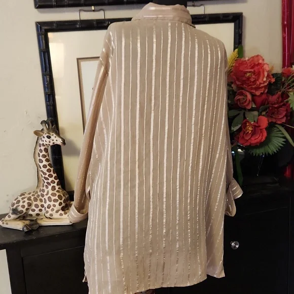 Long, Sheer Beige Blouse - Picture 3 of 4